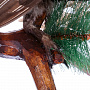 Чучело птицы "Тетерев на ветке", фотография 7. Интернет-магазин ЛАВКА ПОДАРКОВ