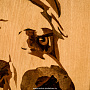 Деревянное настенное панно "Собака" 41 х 33,5 см, фотография 4. Интернет-магазин ЛАВКА ПОДАРКОВ