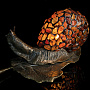 Настольная лампа из янтаря и бронзы "Улитка", фотография 5. Интернет-магазин ЛАВКА ПОДАРКОВ