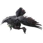 /упр Таксидермия Чучело "ВОРОН" распахнутые крылья настенное