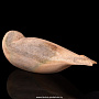 Скульптура из кости кита "Нерпа", фотография 3. Интернет-магазин ЛАВКА ПОДАРКОВ