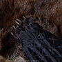 Ковер из шкуры бурого медведя, фотография 4. Интернет-магазин ЛАВКА ПОДАРКОВ