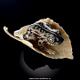Скульптура из кости(бивень мамонта) "Лягушка на листе", фотография 4. Интернет-магазин ЛАВКА ПОДАРКОВ