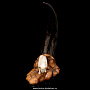 Скульптура из кости "Бизон" (рог бизона, бивень мамонта), фотография 2. Интернет-магазин ЛАВКА ПОДАРКОВ