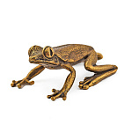 0025776 Бронза Статуэтка "ЯВАНСКАЯ ЛЕТАЮЩАЯ ЛЯГУШКА" 4,5*5,5см