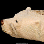 Скульптура из кости кита "Белый медведь", фотография 7. Интернет-магазин ЛАВКА ПОДАРКОВ