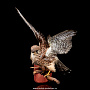 Чучело птицы "Кобчик" (семейство соколиных), фотография 4. Интернет-магазин ЛАВКА ПОДАРКОВ