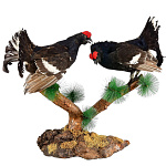  Таксидермия Чучело ДВА ТЕТЕРЕВА НА ВЕТКЕ напольное/настольное