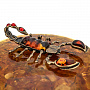 Шкатулка из янтаря "Знак зодиака Скорпион", фотография 4. Интернет-магазин ЛАВКА ПОДАРКОВ