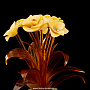 Ваза цветочная (янтарь, оникс), фотография 4. Интернет-магазин ЛАВКА ПОДАРКОВ