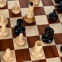 Шахматы с деревянными фигурами "Неваляшки" 47х47 см, фотография 7. Интернет-магазин ЛАВКА ПОДАРКОВ