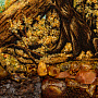 Картина янтарная "Утро в сосновом бору" 30х40 см, фотография 4. Интернет-магазин ЛАВКА ПОДАРКОВ