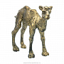 Бронзовая статуэтка "Верблюд", фотография 5. Интернет-магазин ЛАВКА ПОДАРКОВ