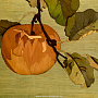 Деревянное настенное панно "Яблоки" 45 х 73 см, фотография 4. Интернет-магазин ЛАВКА ПОДАРКОВ