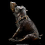 Бронзовая статуэтка "Собака Лилу с арбузом". Авторская работа., фотография 2. Интернет-магазин ЛАВКА ПОДАРКОВ