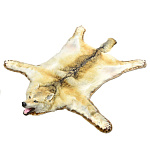 /145см Таксидермия КОВЕР ИЗ ШКУРЫ ЯКУТСКОГО ВОЛКА 