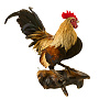 Чучело настенное "Петух", фотография 3. Интернет-магазин ЛАВКА ПОДАРКОВ