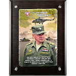 0038246 ПАННО сувенирное "Шойгу (есть такая профессия)" настенное (стекло) 38*28см