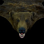 Шкура бурого медведя, фотография 4. Интернет-магазин ЛАВКА ПОДАРКОВ