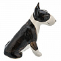 Фарфоровая статуэтка "Собака Бультерьер", фотография 1. Интернет-магазин ЛАВКА ПОДАРКОВ