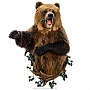 Настенное чучело "Медведь", фотография 1. Интернет-магазин ЛАВКА ПОДАРКОВ