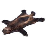  Ковер из Шкуры РОСОМАХИ на подкладке