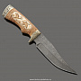 Нож "Орлан", фотография 3. Интернет-магазин ЛАВКА ПОДАРКОВ
