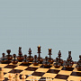 Шахматы деревянные Карпова "Непобедимые", фотография 2. Интернет-магазин ЛАВКА ПОДАРКОВ