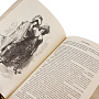 Подарочная книга "Теофиль Готье. Капитан Фракасс", фотография 6. Интернет-магазин ЛАВКА ПОДАРКОВ