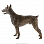 Бронзовая статуэтка "Собака Доберман", фотография 4. Интернет-магазин ЛАВКА ПОДАРКОВ
