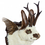 Чучело настенное "Белый кролик с рогами", фотография 5. Интернет-магазин ЛАВКА ПОДАРКОВ