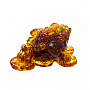 Янтарная статуэтка "Жаба денежная", фотография 3. Интернет-магазин ЛАВКА ПОДАРКОВ