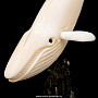Скульптура из клыка моржа "Кит", фотография 5. Интернет-магазин ЛАВКА ПОДАРКОВ