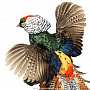 Чучело птицы "Фазан алмазный" настенное, фотография 3. Интернет-магазин ЛАВКА ПОДАРКОВ