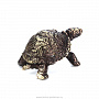 Бронзовая статуэтка "Черепаха", фотография 2. Интернет-магазин ЛАВКА ПОДАРКОВ