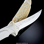 Нож сувенирный из натуральной кости, фотография 4. Интернет-магазин ЛАВКА ПОДАРКОВ