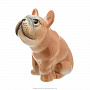 Фарфоровая статуэтка "Собака Французский бульдог", фотография 4. Интернет-магазин ЛАВКА ПОДАРКОВ