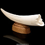 Скульптура из клыка моржа "Слоны", фотография 4. Интернет-магазин ЛАВКА ПОДАРКОВ