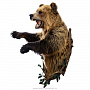 Настенное чучело "Медведь", фотография 2. Интернет-магазин ЛАВКА ПОДАРКОВ