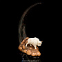 Скульптура из кости "Бизон" (рог бизона, бивень мамонта), фотография 3. Интернет-магазин ЛАВКА ПОДАРКОВ