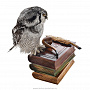 Чучело птицы  "Сова со стопкой книг", фотография 1. Интернет-магазин ЛАВКА ПОДАРКОВ