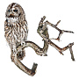 Чучело настенное "Сова серая", фотография 3. Интернет-магазин ЛАВКА ПОДАРКОВ