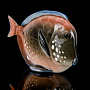 Статуэтка "Рыба-диск розовая". ИФЗ, фотография 4. Интернет-магазин ЛАВКА ПОДАРКОВ