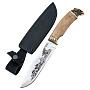 Нож сувенирный "Коршун", фотография 1. Интернет-магазин ЛАВКА ПОДАРКОВ