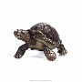 Бронзовая статуэтка "Черепаха", фотография 1. Интернет-магазин ЛАВКА ПОДАРКОВ