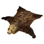 /№2 Ковер из шкуры  БУРОГО МЕДВЕДЯ (на подкладке) длина 210 см