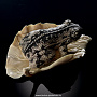 Скульптура из кости(бивень мамонта) "Лягушка на листе", фотография 3. Интернет-магазин ЛАВКА ПОДАРКОВ