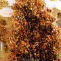 Картина янтарная "Осенний лес" 98х75 см, фотография 5. Интернет-магазин ЛАВКА ПОДАРКОВ