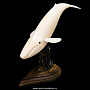 Скульптура из клыка моржа "Кит", фотография 2. Интернет-магазин ЛАВКА ПОДАРКОВ
