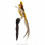 Чучело настенное "Лимонный фазан", фотография 2. Интернет-магазин ЛАВКА ПОДАРКОВ